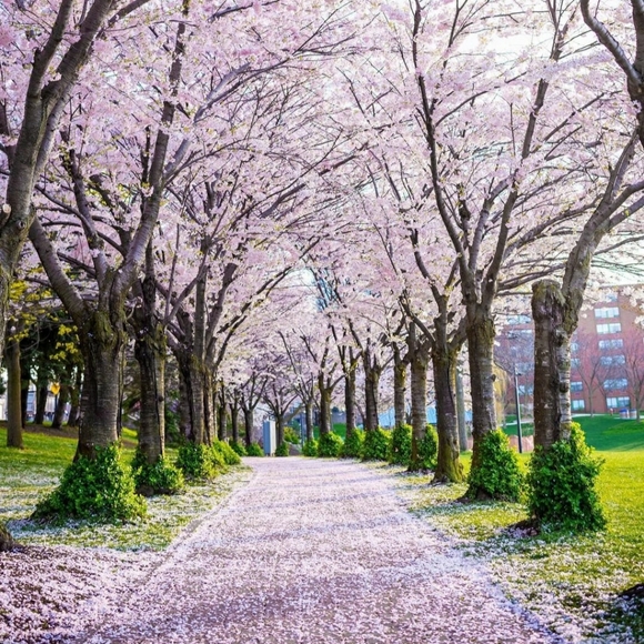 INC Faux Fur Lined Slippers Women's Size 11-12 Champagne Metallic Trend NWT - Picture 2 of 12
